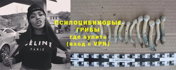 прущая мука Богородицк