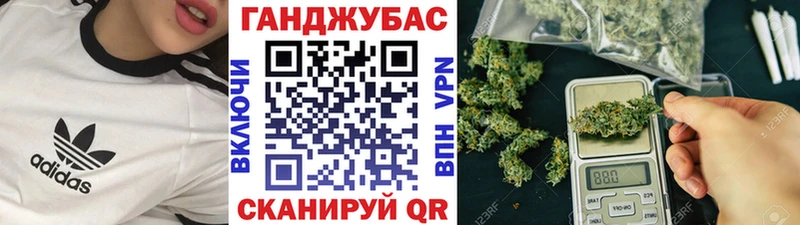 Канабис планчик  Болотное 